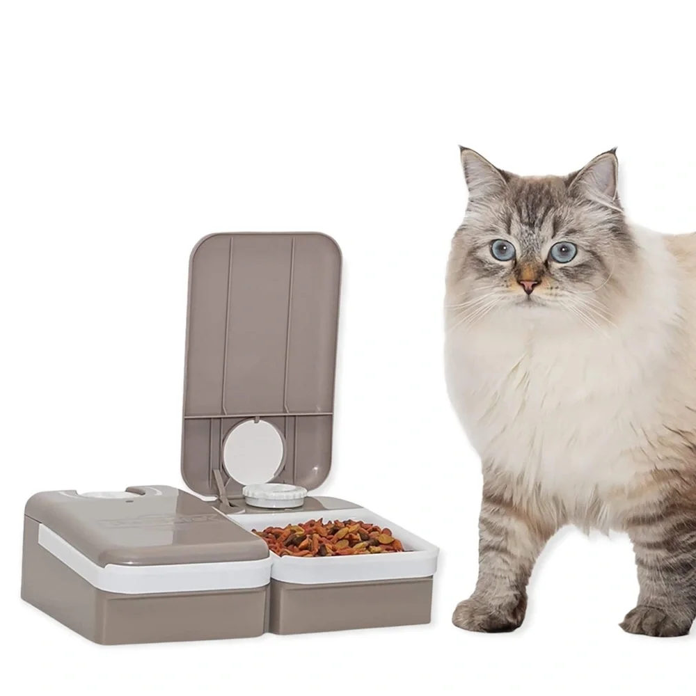 PetSafe 2 Meal Automatic Pet Feeder